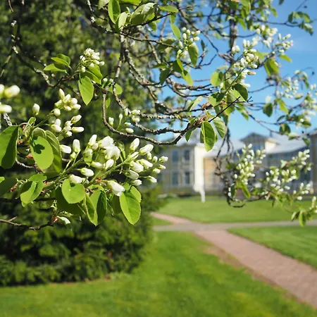 Laensi-suomen Opisto * Huittinen