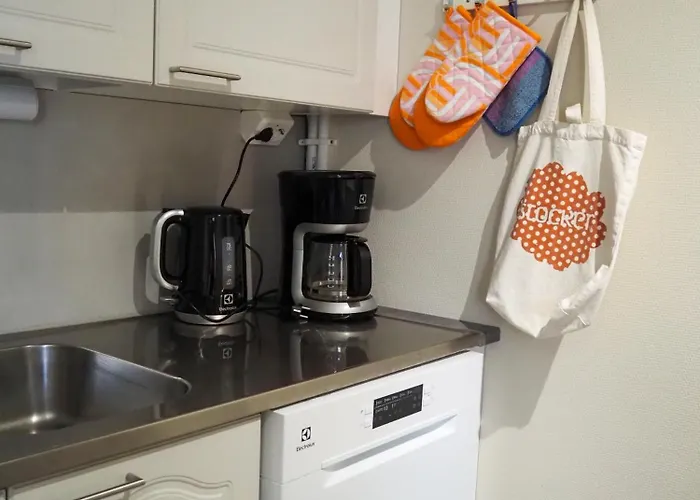 Laensi-suomen Opisto *