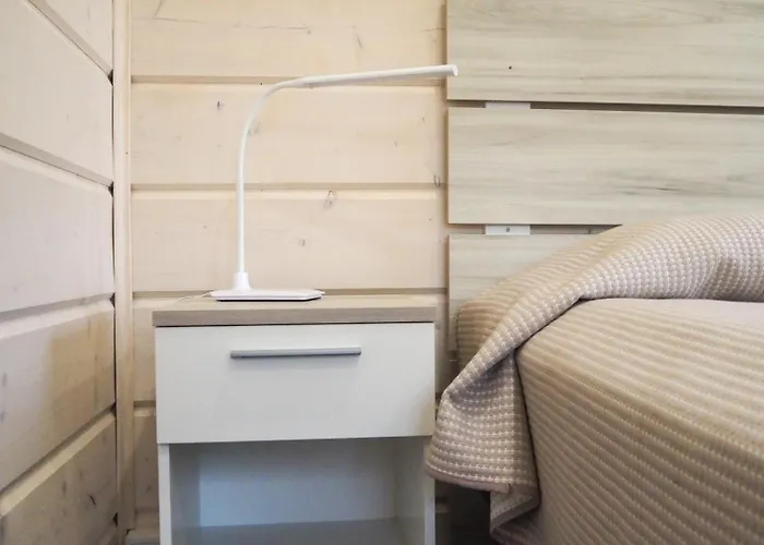 Laensi-suomen Opisto