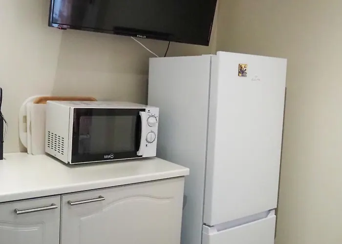 Laensi-suomen Opisto 公寓 *