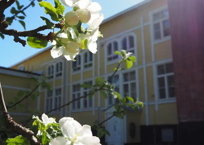 Laensi-suomen Opisto Huittinen